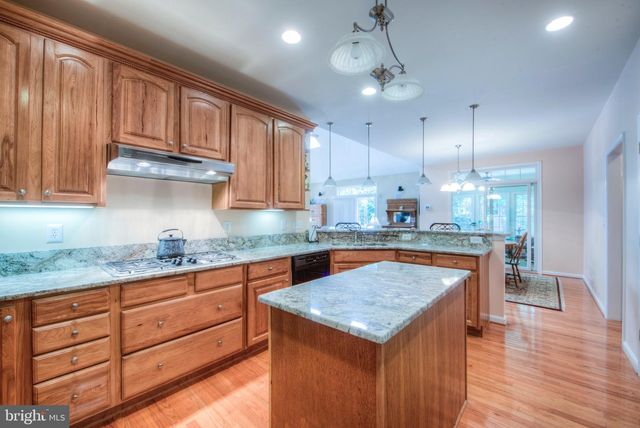 16016 CARRINGTON CT, Mineral, VA 23117