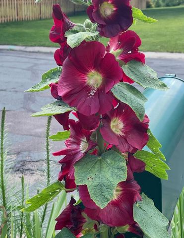 4320 Greenhaven Court, Vadnais Heights, MN 55127