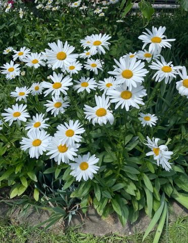 4320 Greenhaven Court, Vadnais Heights, MN 55127