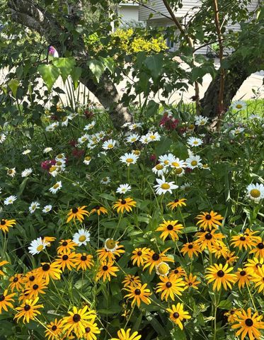 4320 Greenhaven Court, Vadnais Heights, MN 55127