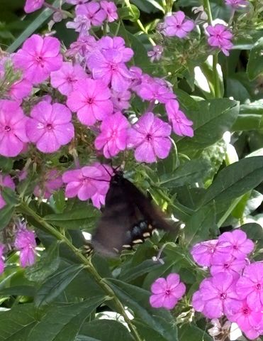 4320 Greenhaven Court, Vadnais Heights, MN 55127