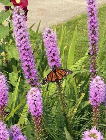 4320 Greenhaven Court, Vadnais Heights, MN 55127