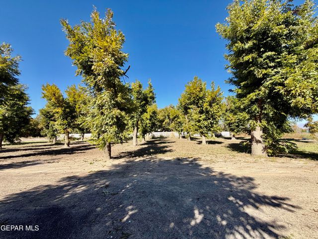 2452 W O'Hara Road, Anthony, NM 88021