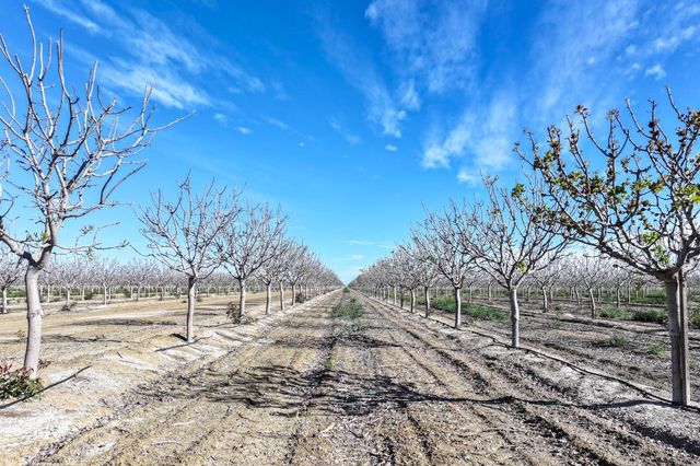 22889 S Colusa Avenue, Five Points, CA 93624