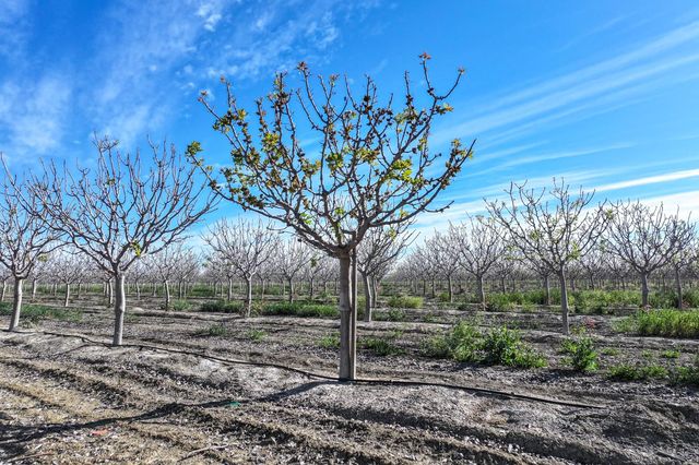 22889 S Colusa Avenue, Five Points, CA 93624