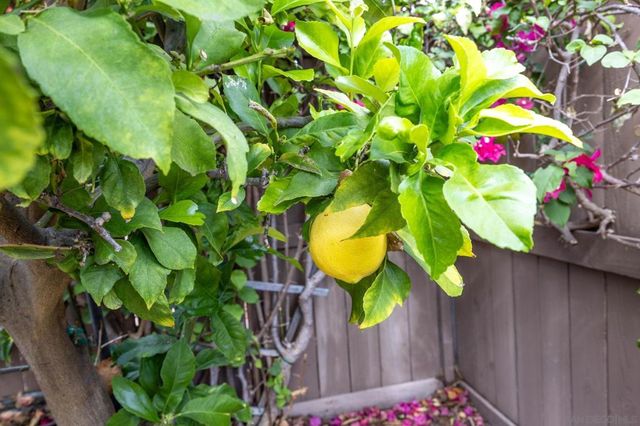 7957 Auberge Circle, San Diego, CA 92127