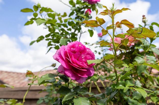 7957 Auberge Circle, San Diego, CA 92127