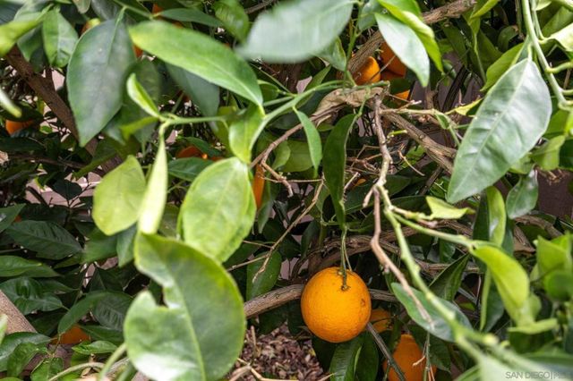 7957 Auberge Circle, San Diego, CA 92127