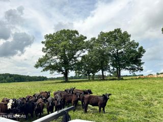 Old Bean Shed,34Acres Rd, Clarkrange, TN 38553