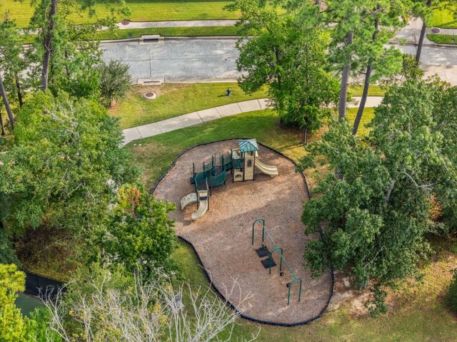 25702 Alp Springs Lane, Spring, TX 77373