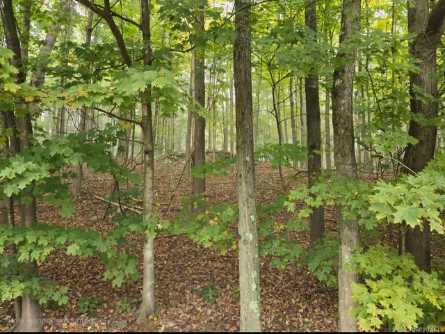 791 Gregory Court, Highland, NY 12528