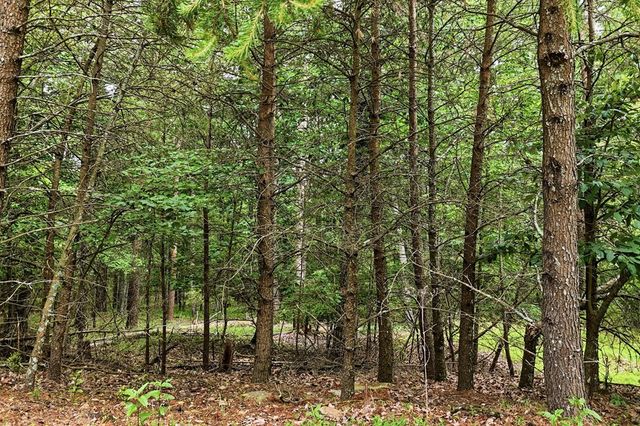 0 Owl Ridge Way, Jasper, GA 30143