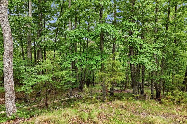 0 Owl Ridge Way, Jasper, GA 30143