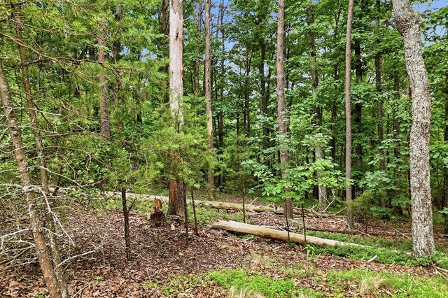 0 Owl Ridge Way, Jasper, GA 30143