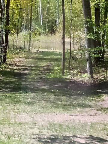 745 Wolverine Drive, Gladwin, MI 48624