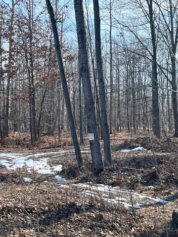 745 Wolverine Drive, Gladwin, MI 48624