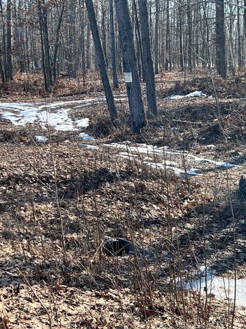 745 Wolverine Drive, Gladwin, MI 48624