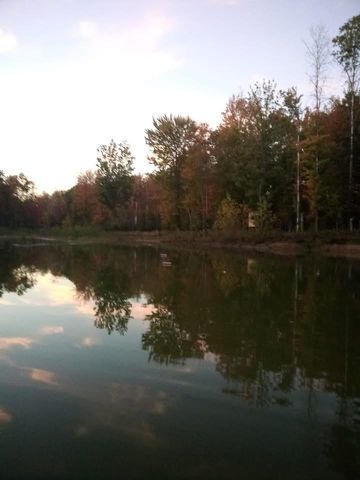 745 Wolverine Drive, Gladwin, MI 48624