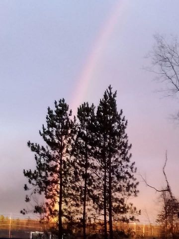 745 Wolverine Drive, Gladwin, MI 48624