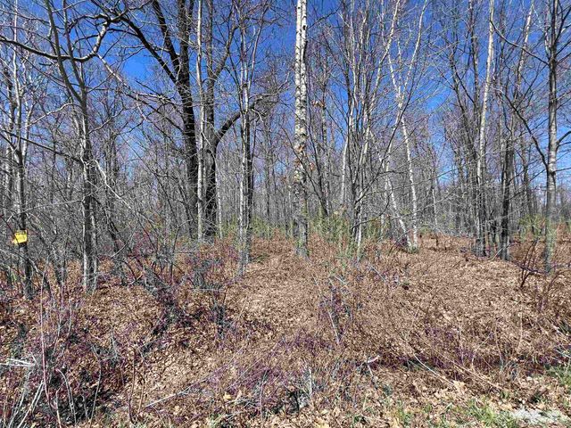 745 Wolverine Drive, Gladwin, MI 48624