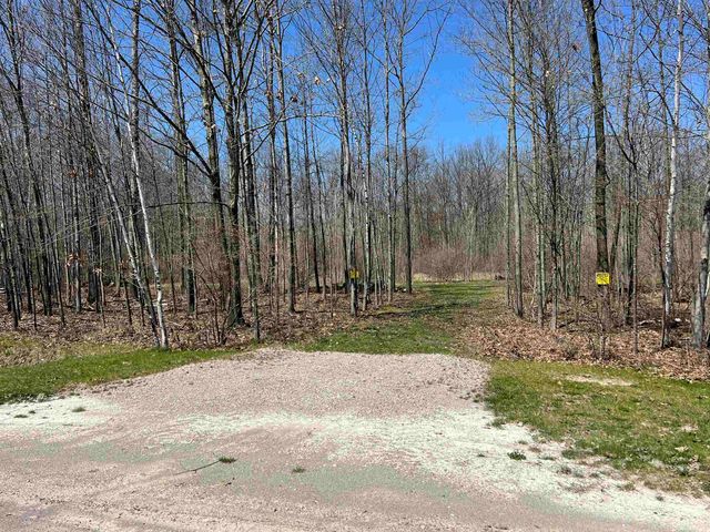 745 Wolverine Drive, Gladwin, MI 48624