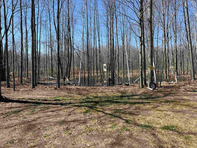 745 Wolverine Drive, Gladwin, MI 48624