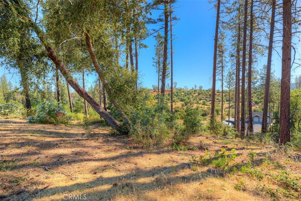 Image 13 of property listing at 1831 Clear Brook, Paradise, CA 95969