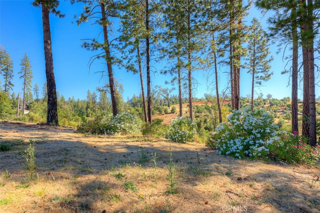 Image 14 of property listing at 1831 Clear Brook, Paradise, CA 95969