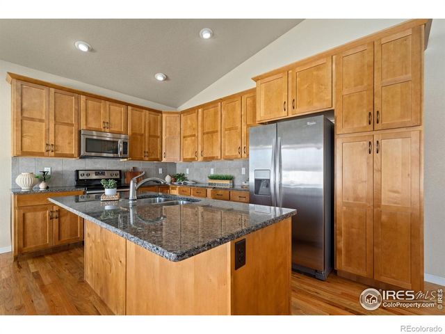 3982 Mount Flora Street, Wellington, CO 80549