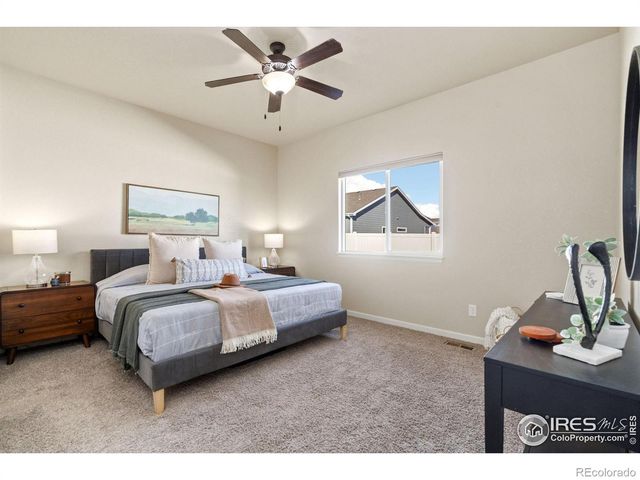 3982 Mount Flora Street, Wellington, CO 80549