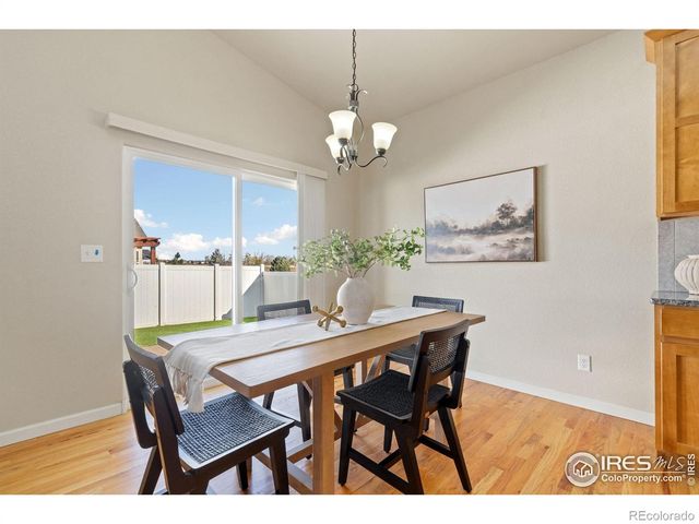 3982 Mount Flora Street, Wellington, CO 80549