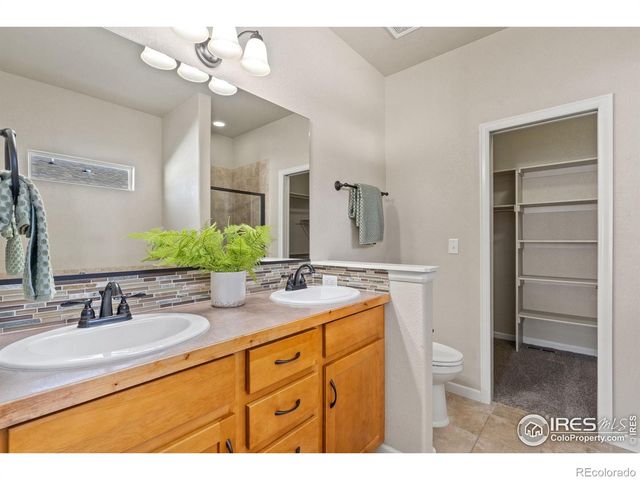 3982 Mount Flora Street, Wellington, CO 80549