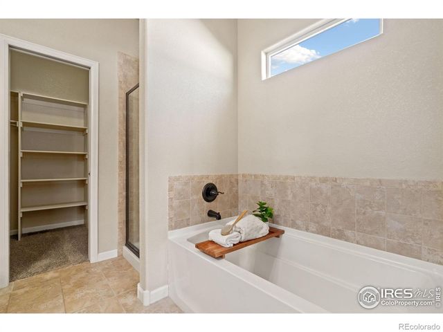 3982 Mount Flora Street, Wellington, CO 80549