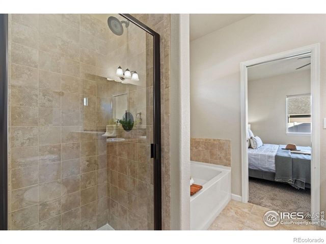 3982 Mount Flora Street, Wellington, CO 80549