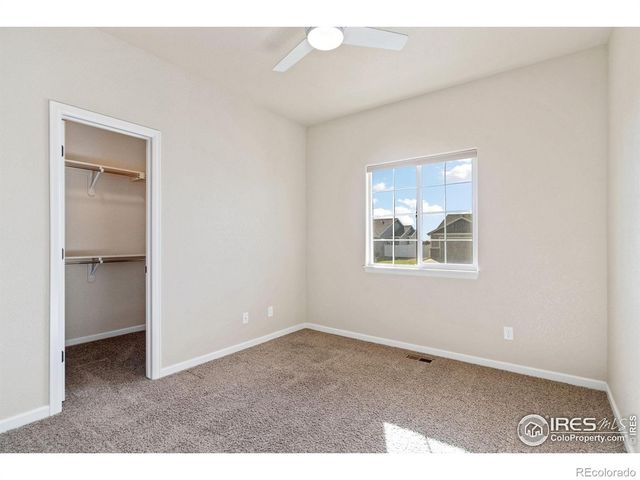 3982 Mount Flora Street, Wellington, CO 80549