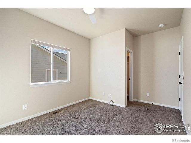 3982 Mount Flora Street, Wellington, CO 80549