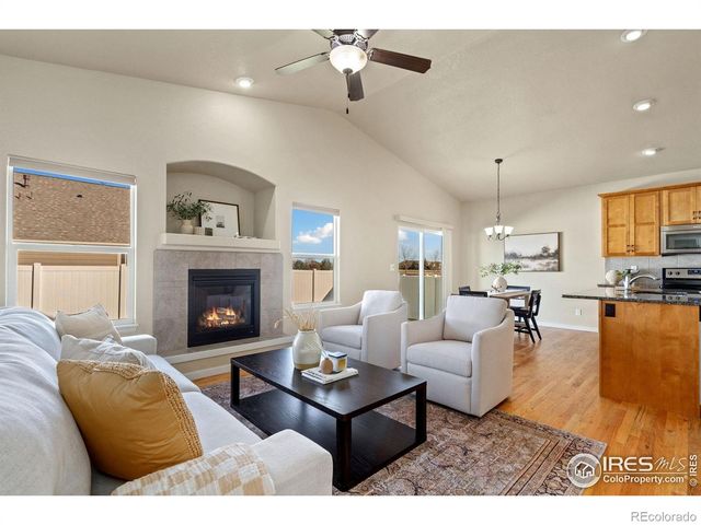 3982 Mount Flora Street, Wellington, CO 80549