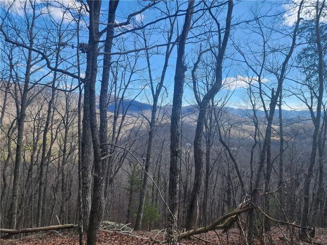 0 Trackrock Gap Road, Blairsville, GA 30514