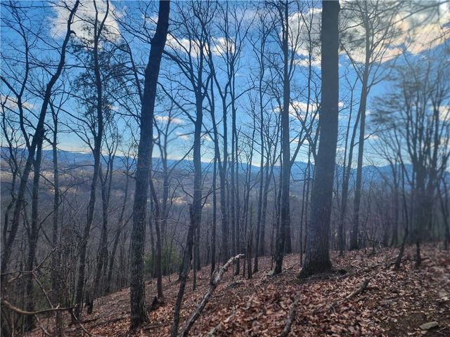 0 Trackrock Gap Road, Blairsville, GA 30514