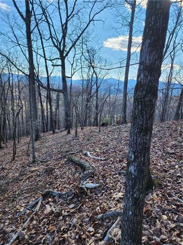 0 Trackrock Gap Road, Blairsville, GA 30514