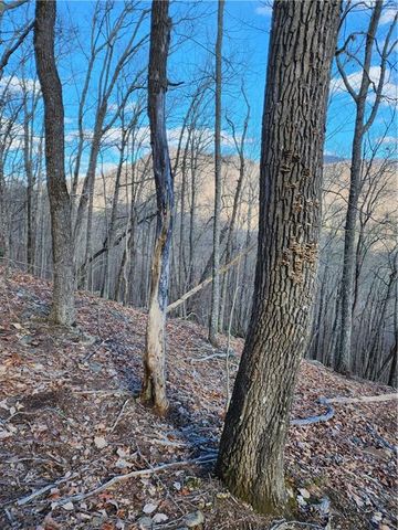 0 Trackrock Gap Road, Blairsville, GA 30514