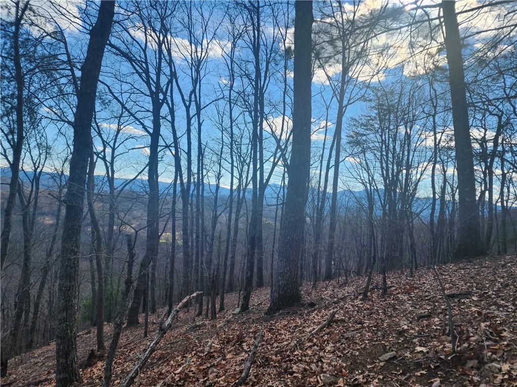 0 Trackrock Gap Road, Blairsville, GA 30514