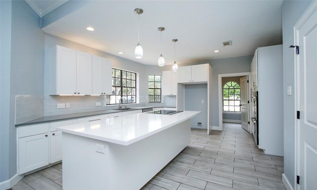 16119 Cochet Spring Drive, Spring, TX 77379