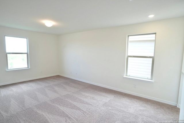 7746 canyon wren, San Antonio, TX 78253