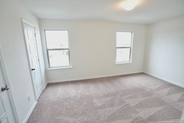 7746 canyon wren, San Antonio, TX 78253