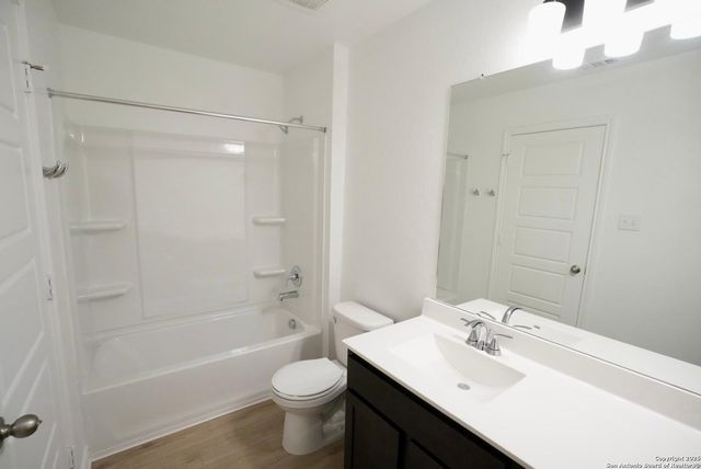 7746 canyon wren, San Antonio, TX 78253