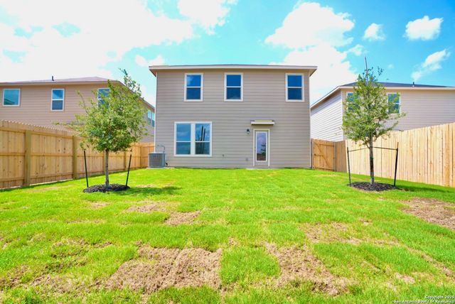 7746 canyon wren, San Antonio, TX 78253