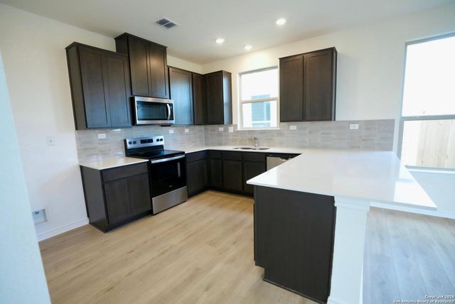 7746 canyon wren, San Antonio, TX 78253