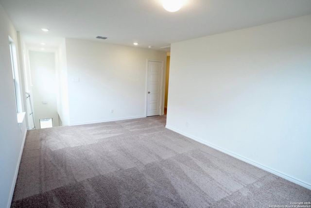 7746 canyon wren, San Antonio, TX 78253