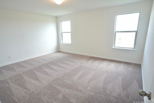 7746 canyon wren, San Antonio, TX 78253